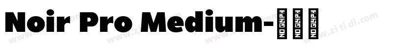 Noir Pro Medium字体转换